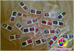 Rosy Adenium seeds